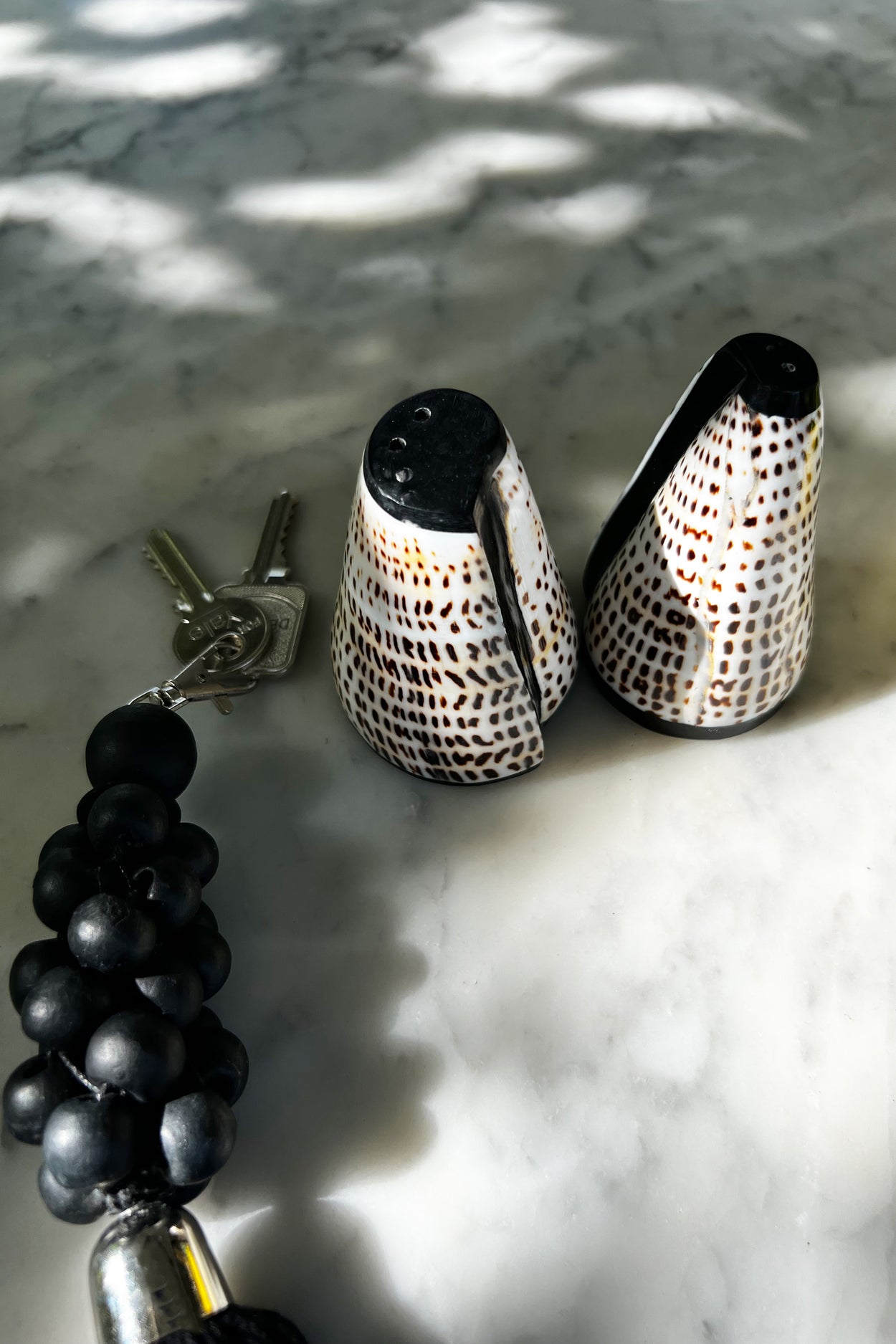 Ensemble sel & poivre Coquille