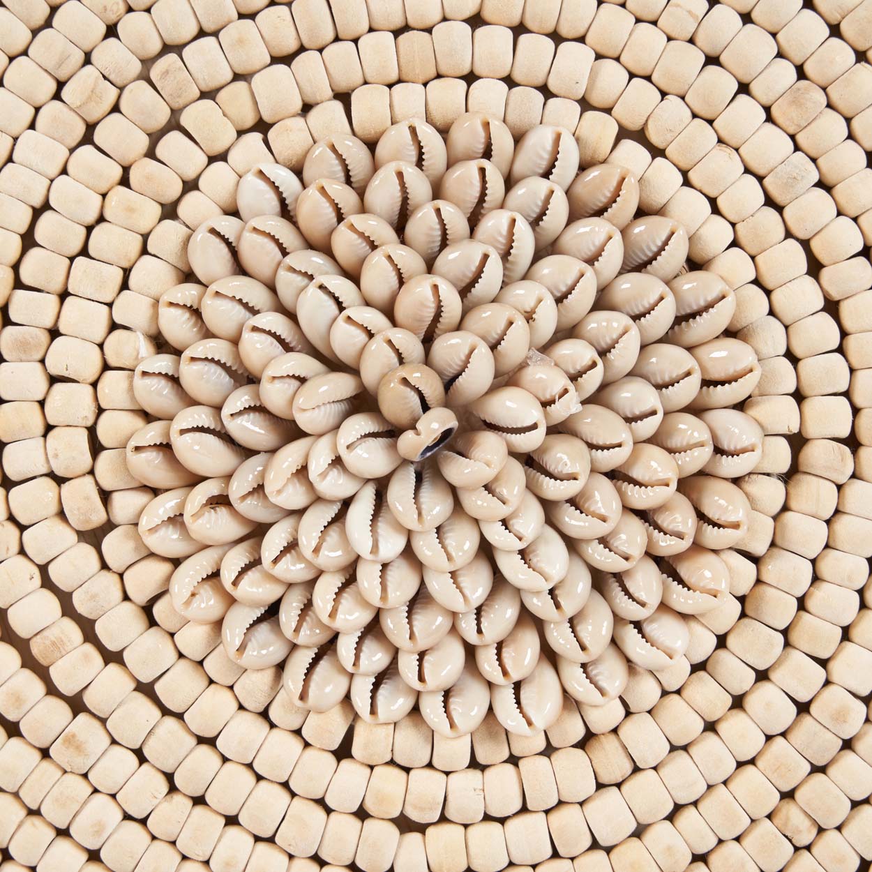 Shell Martinique Sur Pied - Naturel Blanc