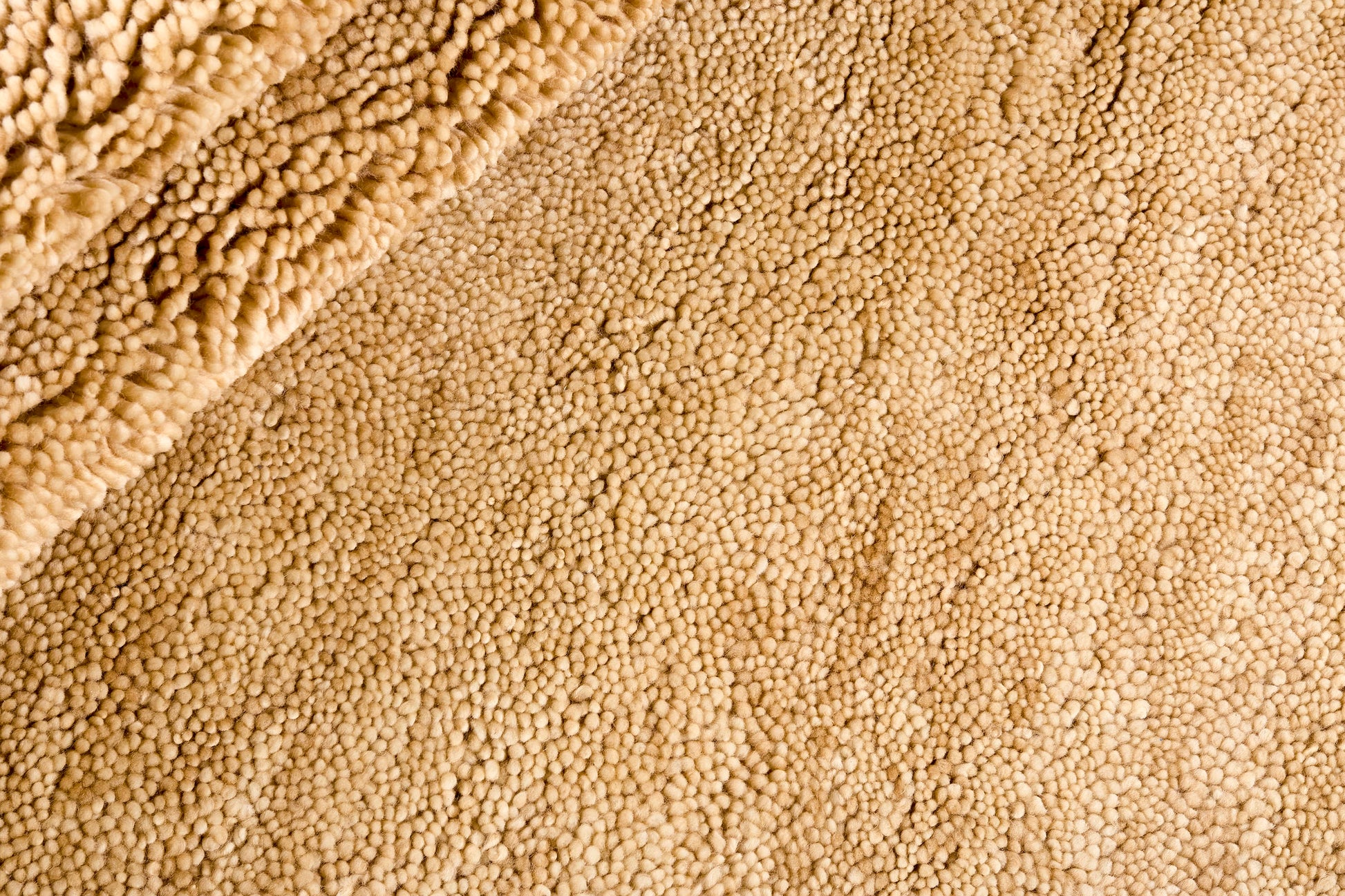 Polar Beige