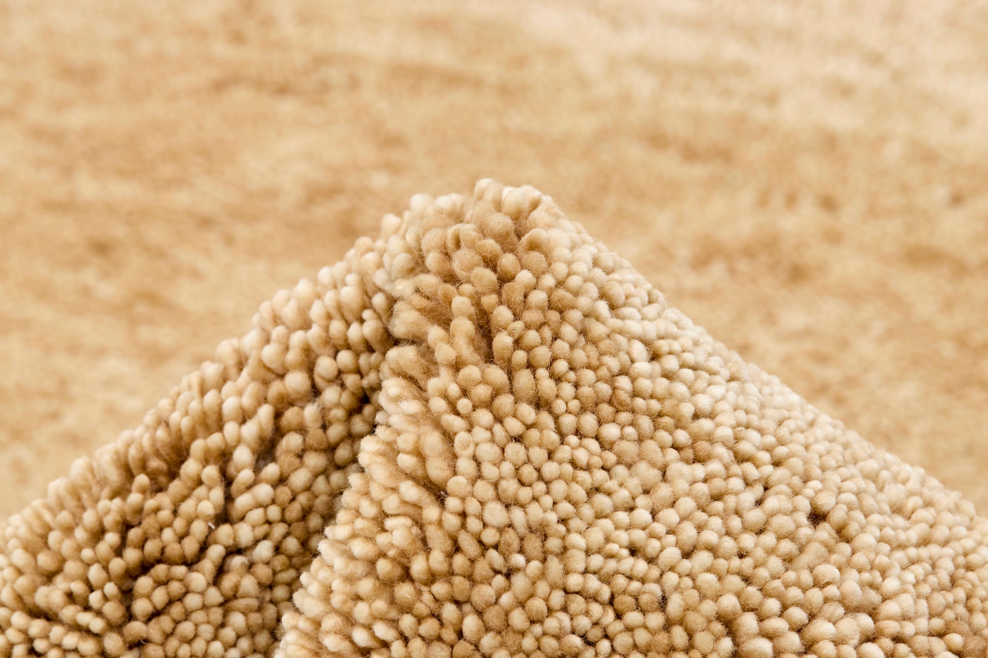 Polar Beige